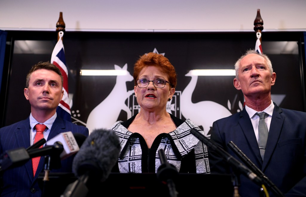 Thumbnail for One Nation defiant over NRA gun scandal