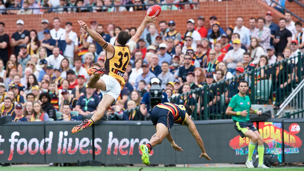 The Hawks flew and the Crows... didn't. Footy's back. What fun. Photo: Michael Errey / InDaily