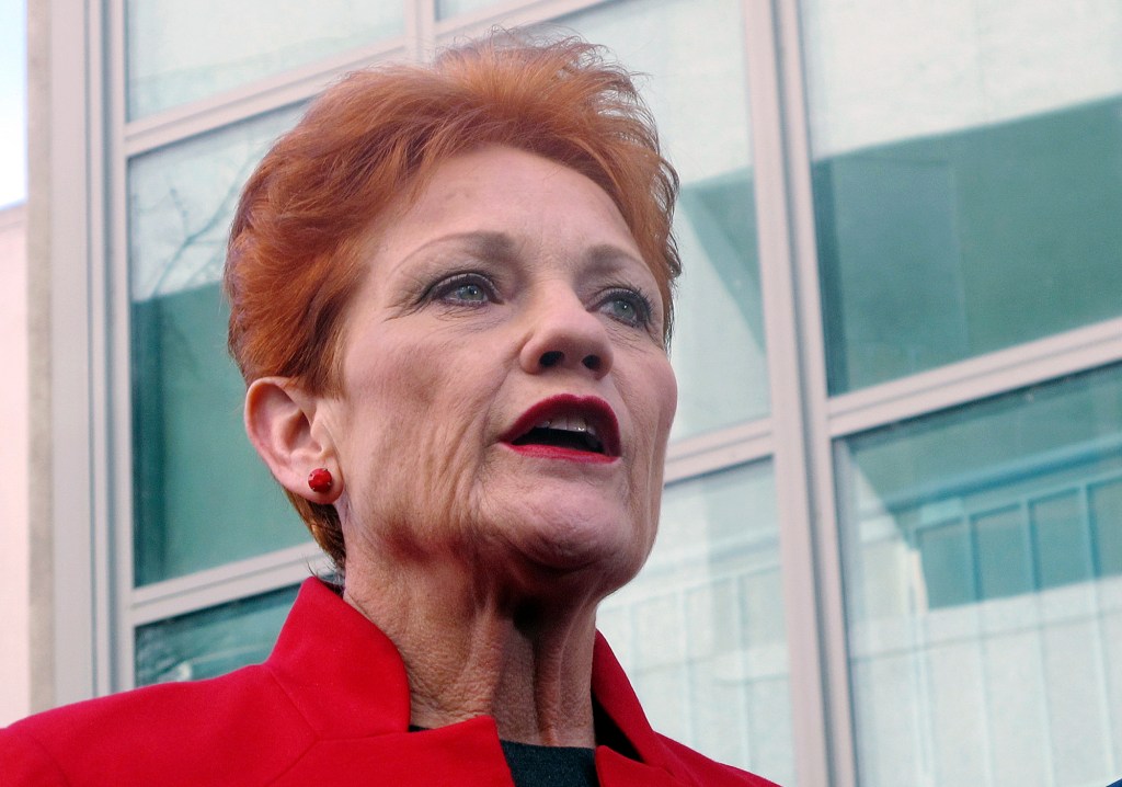 Thumbnail for One Nation support crashes to four-year low: Newspoll