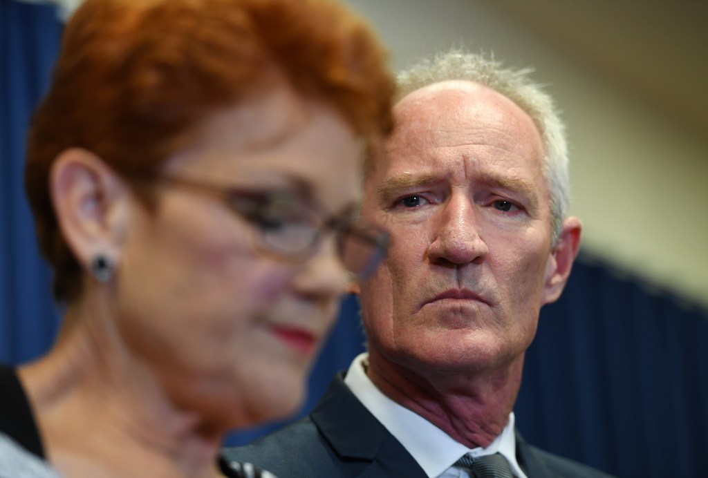 Thumbnail for One Nation’s Dickson quits over strip club footage