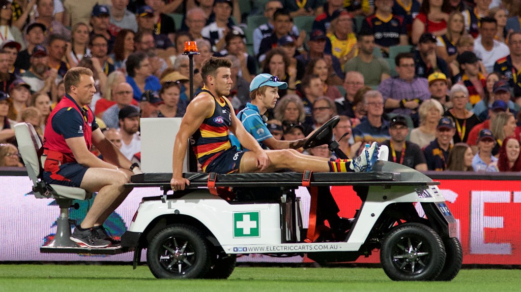 Thumbnail for Good news for Seedsman after Crows winged in second home defeat