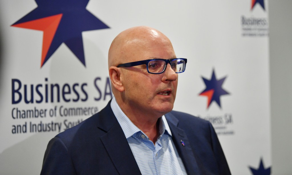 Thumbnail for Trail of devastation: SA business leaders question ASIC’s role