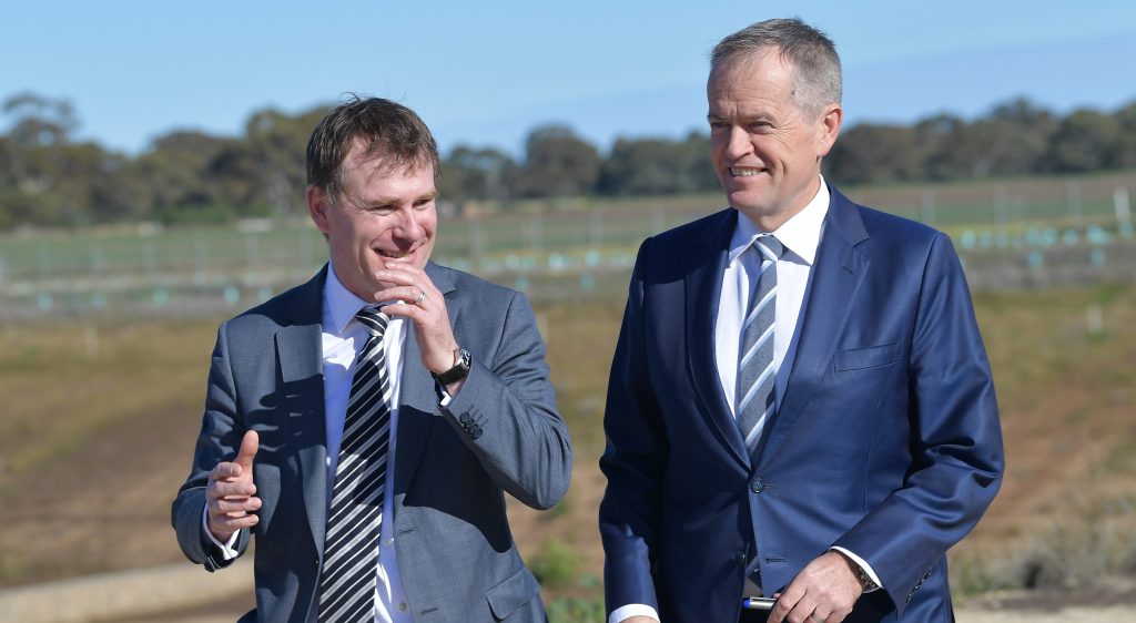 Thumbnail for SA Labor MP may have been invalidly elected