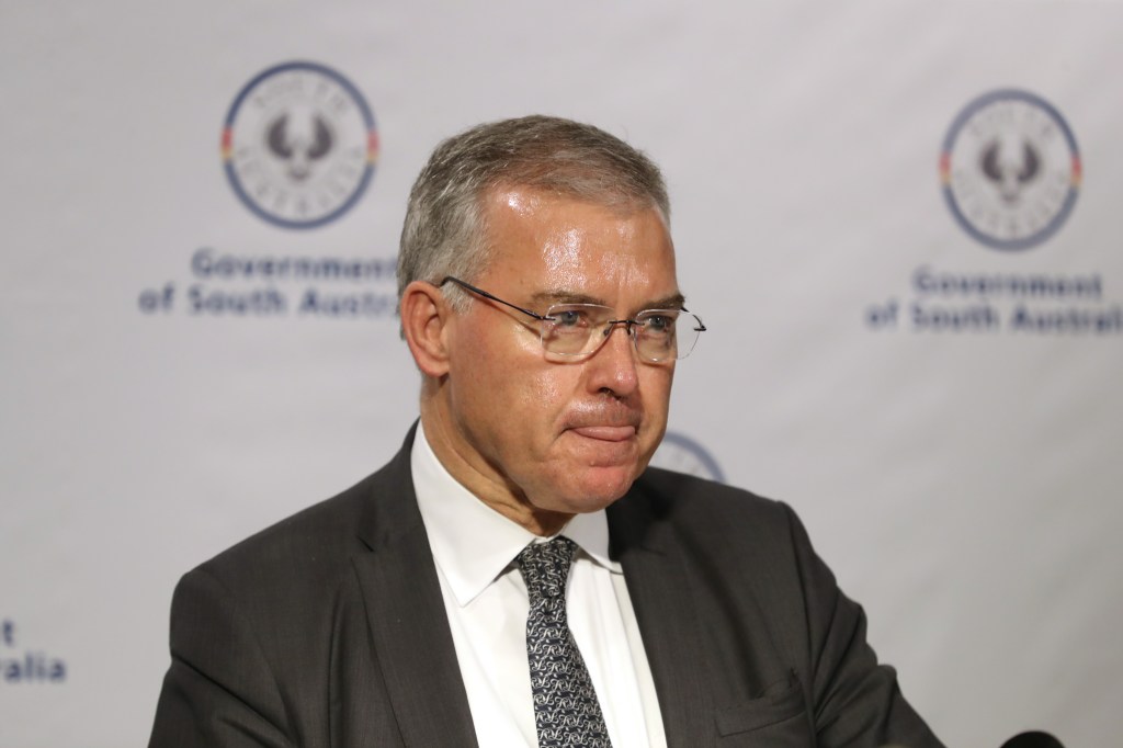 Health Minister Stephen Wade. Photo: Kelly Barnes / AAP