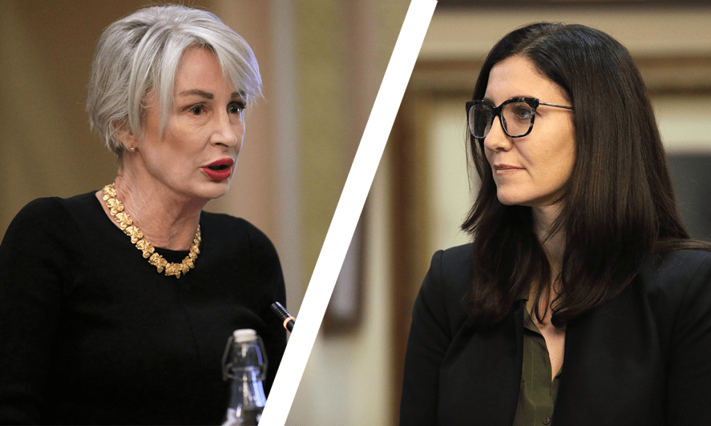 Adelaide City councillor Anne Moran claims she was yelled at by fellow councillor Mary Couros at last night's council meeting. Photo: Tony Lewis/InDaily