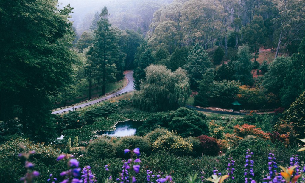 Mount Lofty Botanic Gardens. Photo: Lachlan Birrell