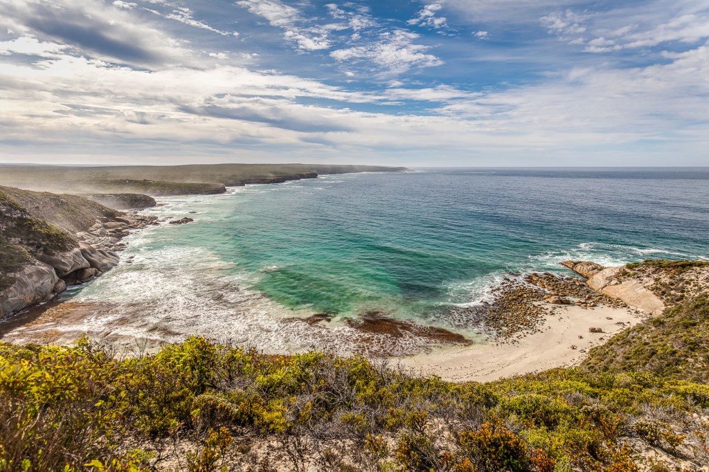 Thumbnail for Paper cuts: Saving Kangaroo Island from tiny steps towards destruction