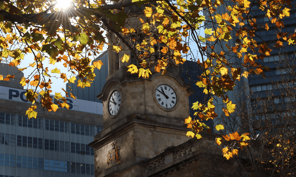 Thumbnail for City council backtracks on carbon neutral leadership goal