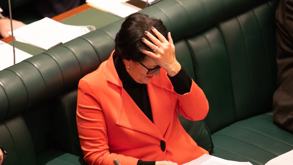 Attorney-General Vickie Chapman. Photo: Tony Lewis / InDaily