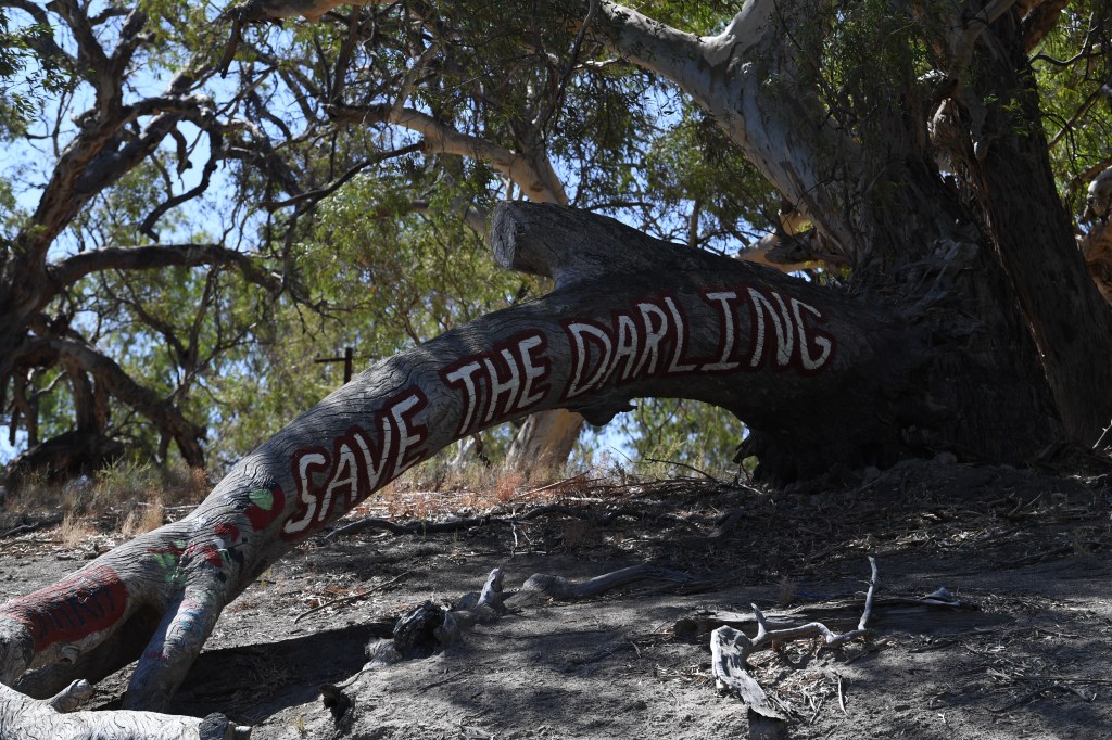 Photo: AAP/Dean Lewins