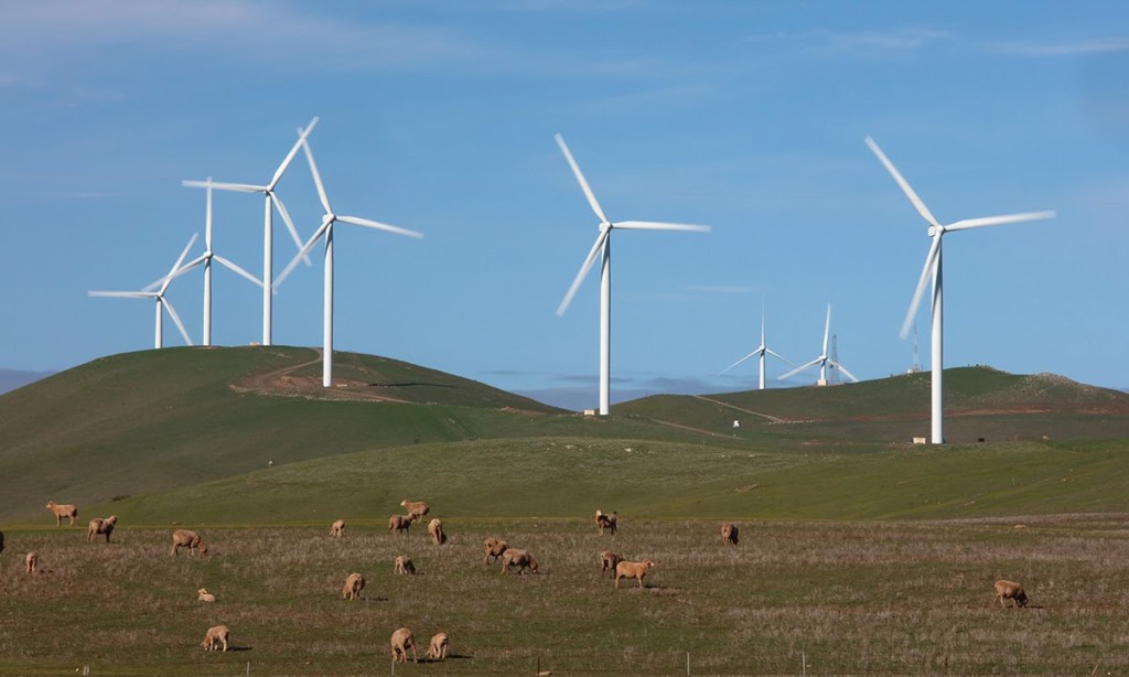 Conventional wisdom says that mandating renewable energy has driven up electricity prices, but research shows otherwise.