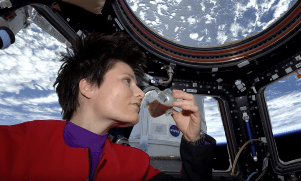 Thumbnail for Finding our space industry niche in “zero gravity”