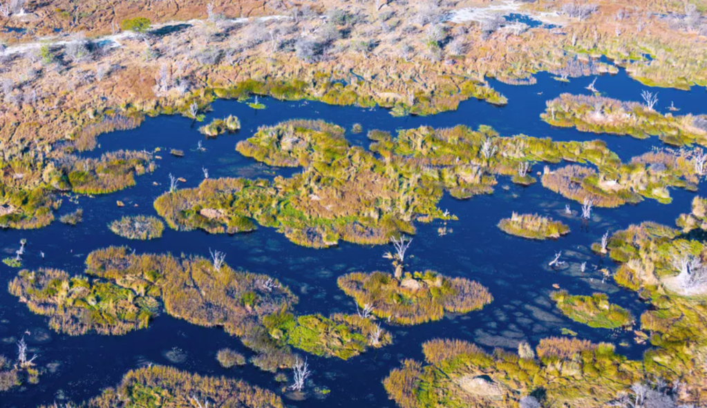 Botswana’s Okavango Delta. Shutterstock