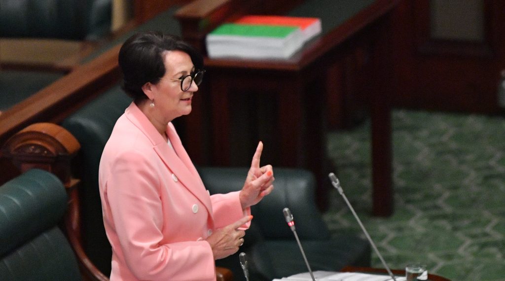 Thumbnail for Deputy Premier weighs in on council boundaries