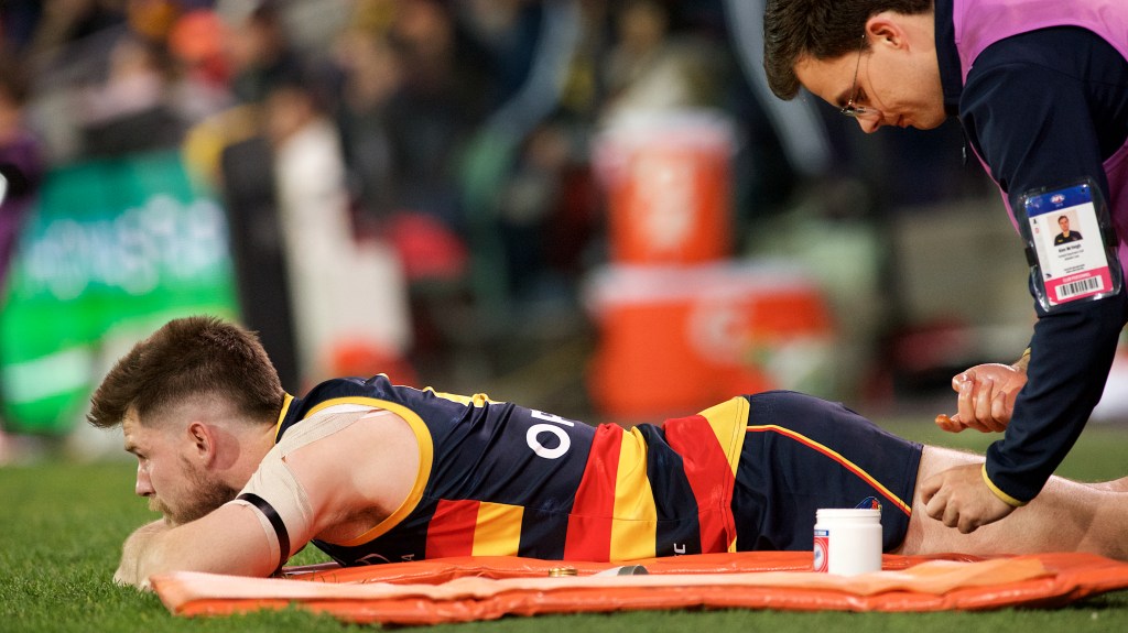 This season has been a painful experience for Bryce Gibbs and Crows supporters alike. Photo: Michael Errey / InDaily
