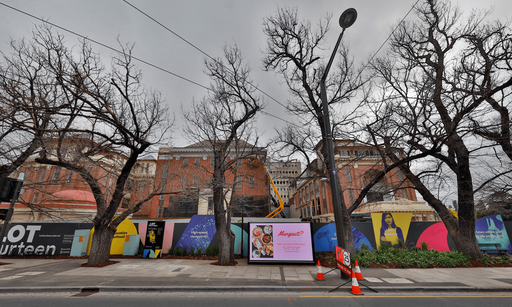 Thumbnail for Historic North Tce trees to remain on death row