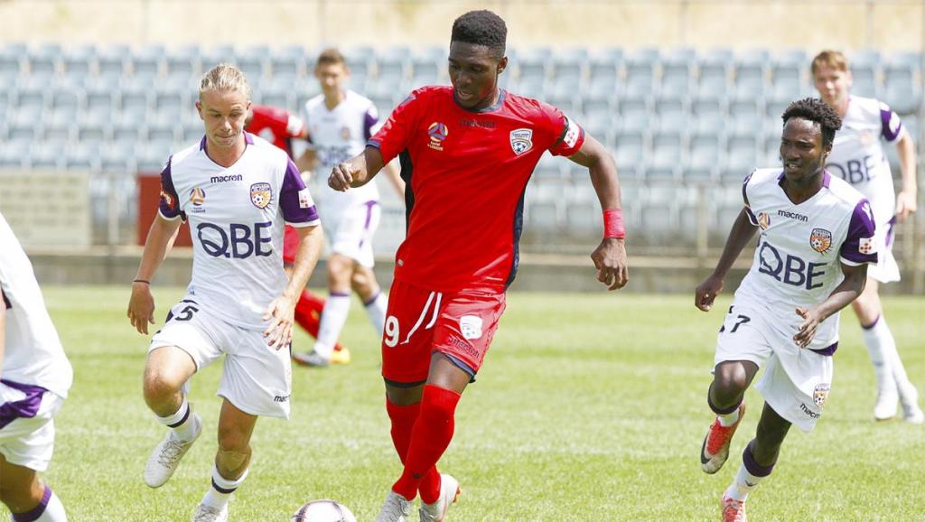 Alhassan Toure will debut for Adelaide United tomorrow. Photo: Joe Janko/Adelaide United