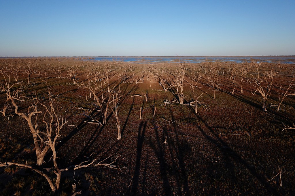 Thumbnail for Your views: on water trading, a Crows’ park lands HQ, council DV leave, land tax and North Tce trees
