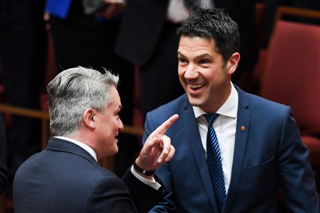 Thumbnail for SA senator slams AFL “social justice rounds” as Bernardi signs off