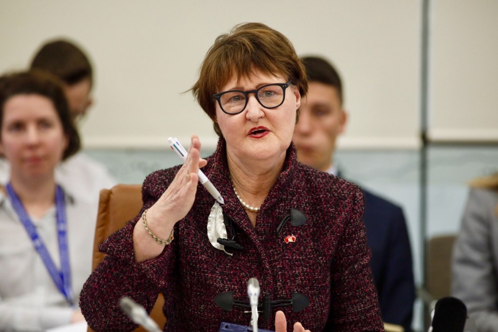 DTTI chief executive Leonie Muldoon. Photo: Tony Lewis/InDaily