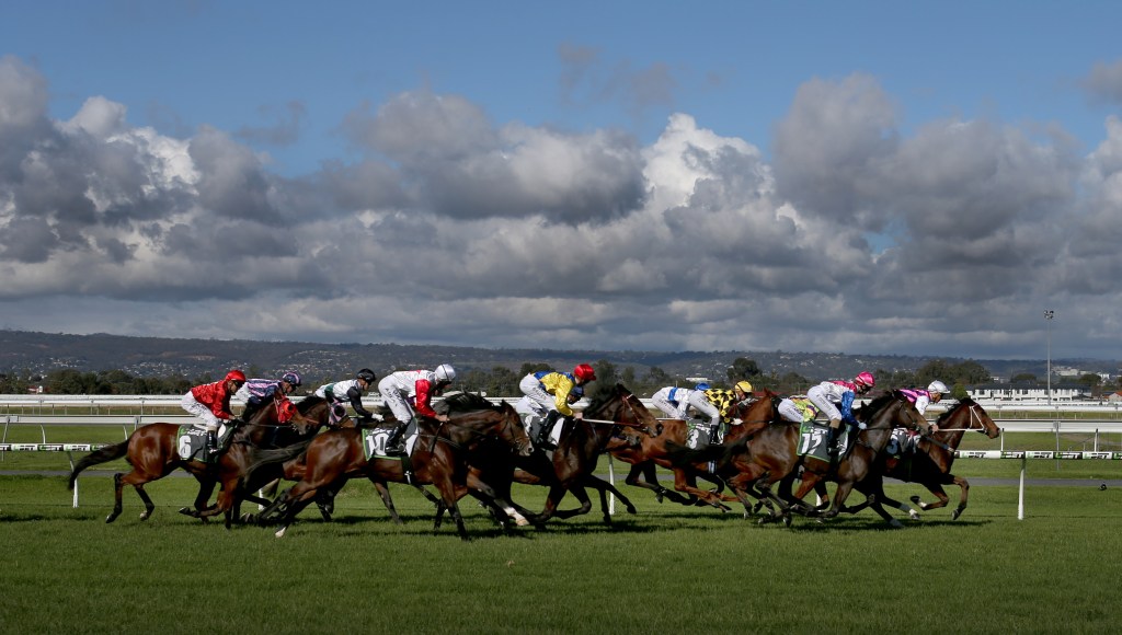 Thumbnail for Blame-shifting as Minister’s pick for racing board faces constitutional barrier