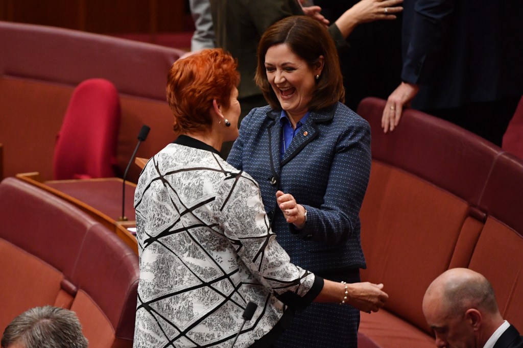 Thumbnail for Domestic violence the emergency, not climate: Lib Senator