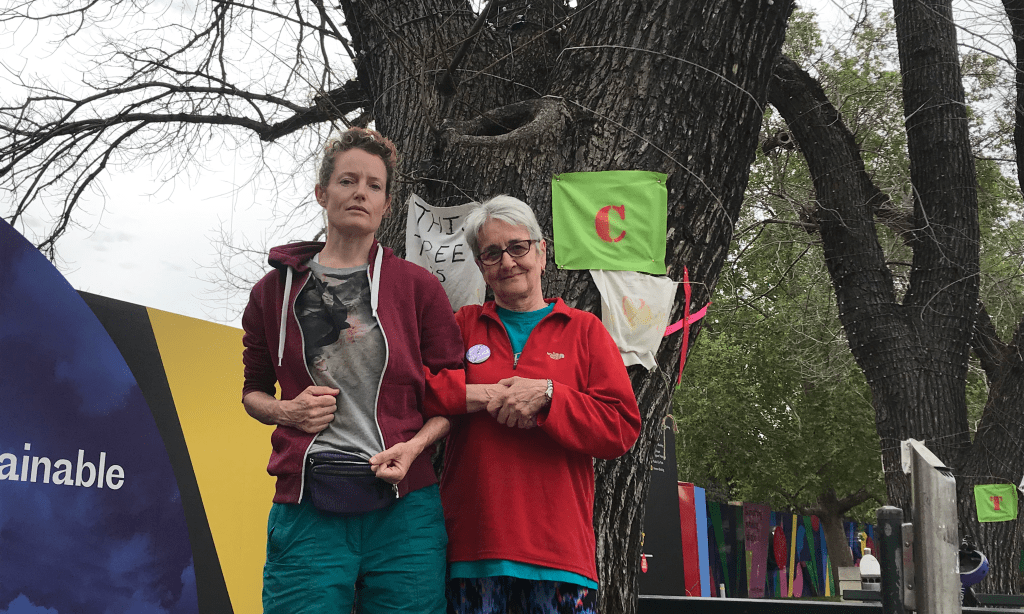 Thumbnail for Protestors vow to climb, chain themselves to doomed North Tce trees