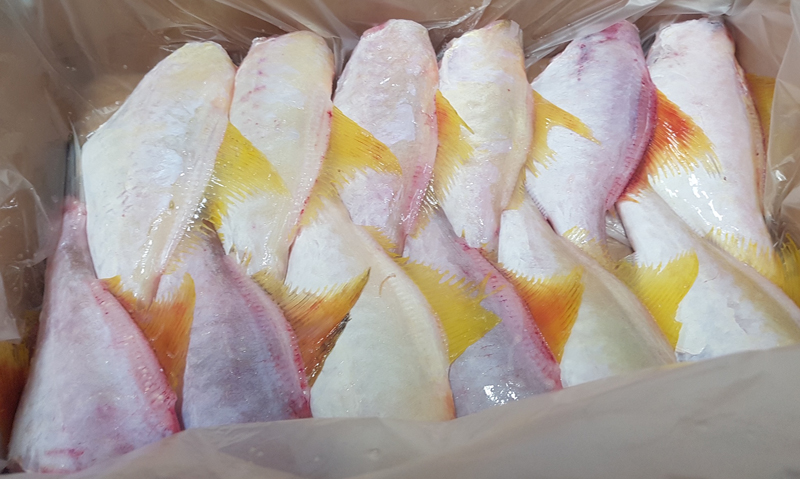 Thumbnail for Govt to continue paying for farm, seafood export flights