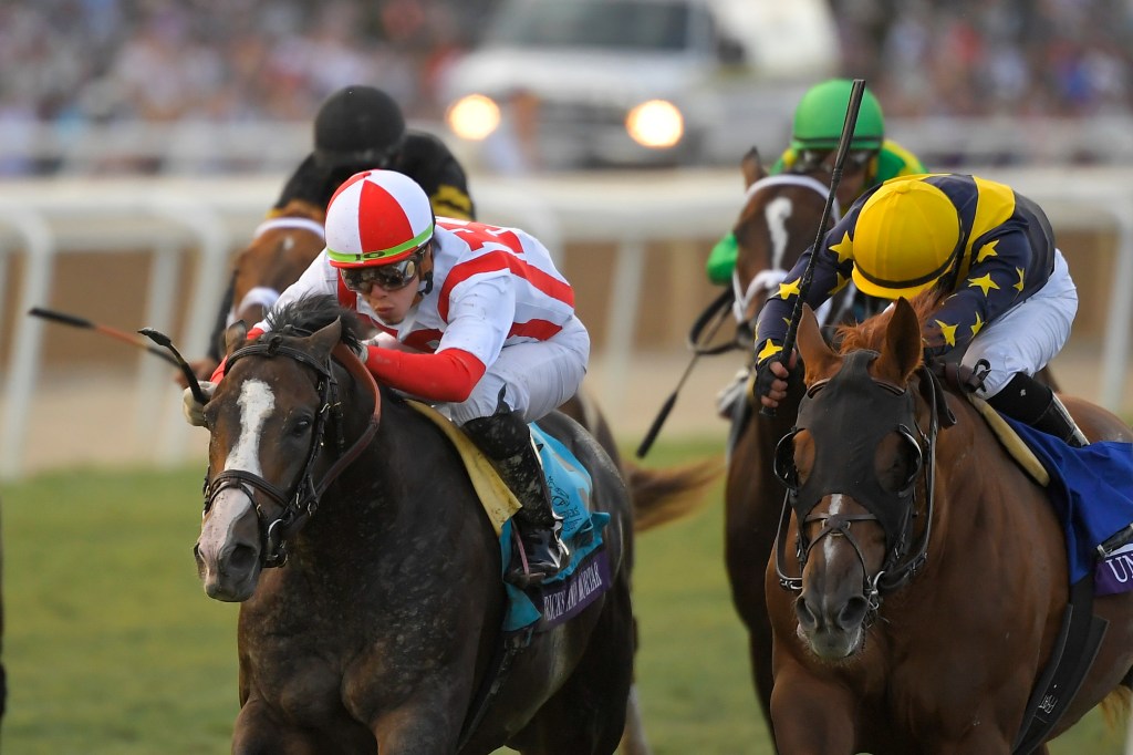 Thumbnail for Racehorse whip needed for “safety”: industry