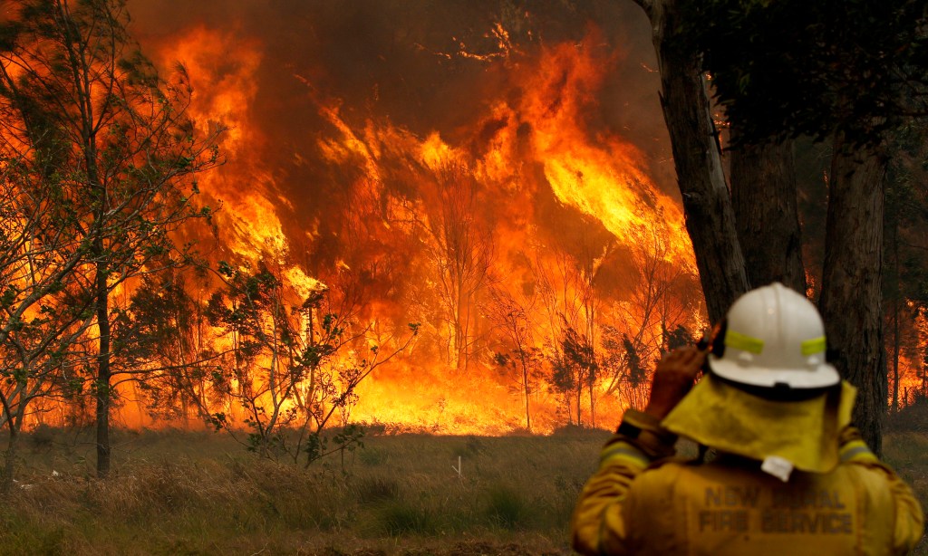 Thumbnail for Your views: on bushfires, climate change and land tax