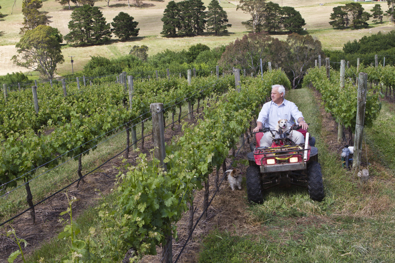 Thumbnail for Adelaide Hills wine wins Great Australian Shiraz Challenge