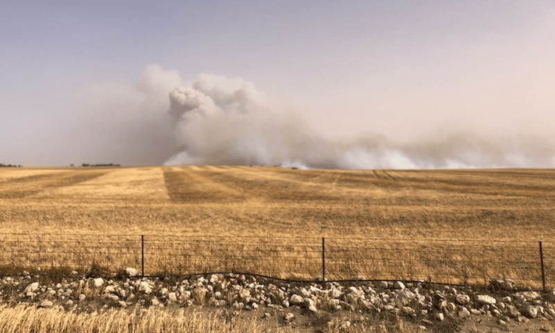Thumbnail for Bushfire victims lodge class action against SA Power Networks