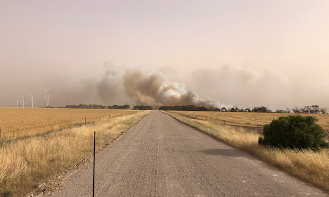 Thumbnail for Emergency services hailed as bushfire recovery begins