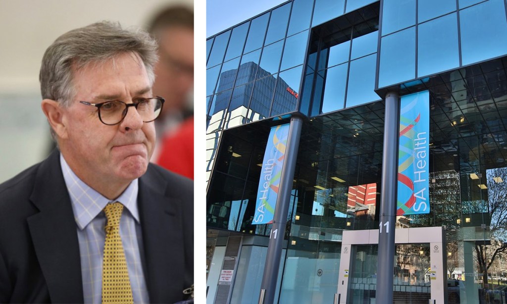 Thumbnail for What could topple the CEO of SA Health?