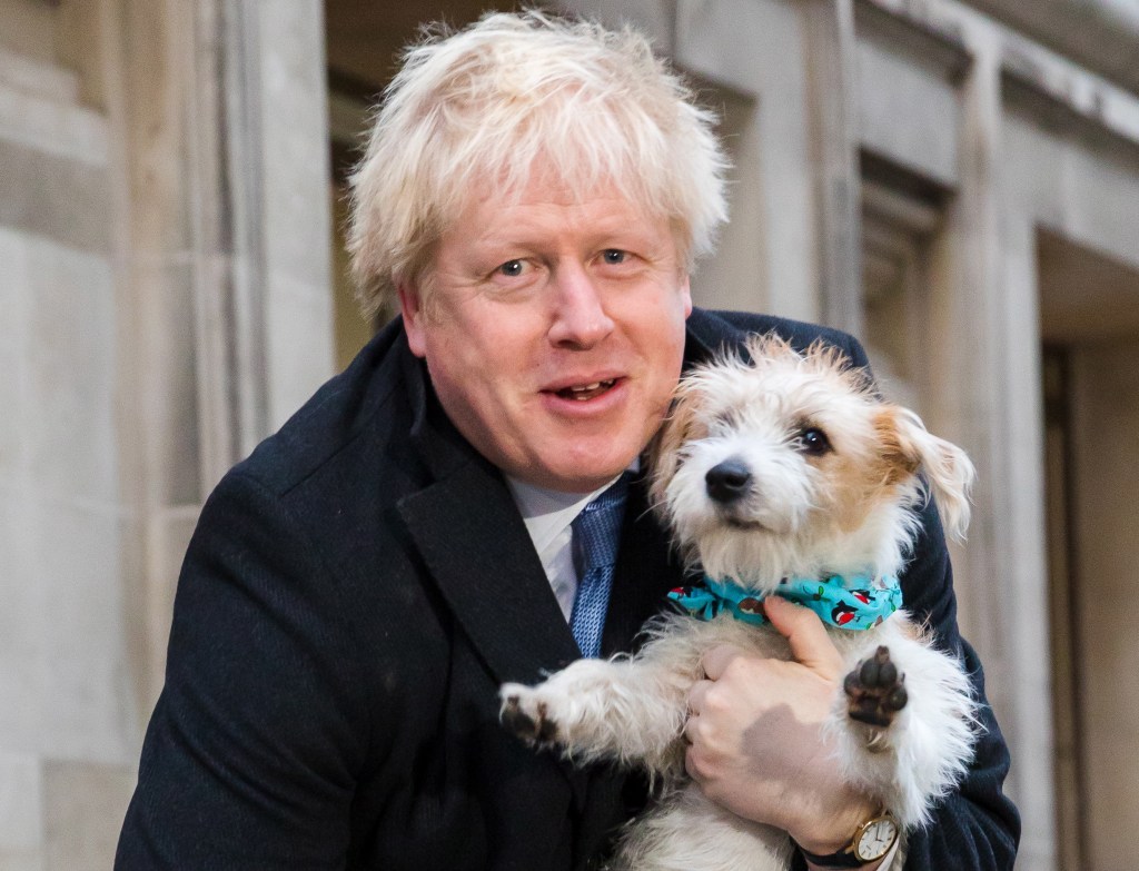 Thumbnail for Boris set for big Brexit election win