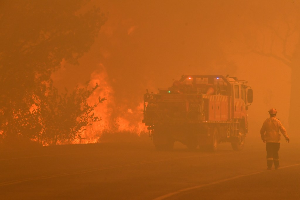 Thumbnail for PM regretful, cuts holiday short after firefighter deaths