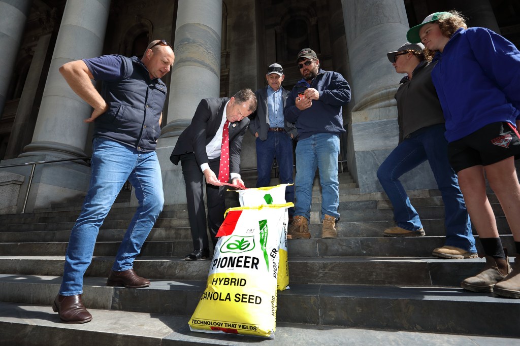 Thumbnail for Labor needs “open mind” on GM ban, says shadow minister