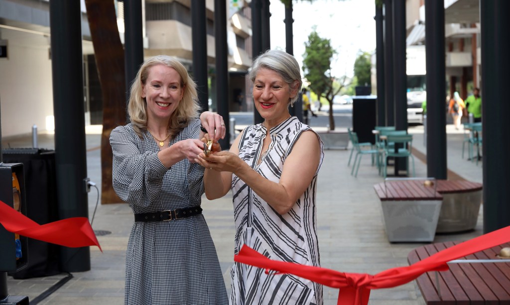Thumbnail for $10m Gawler Place cost blowout “worth it”: Lord Mayor