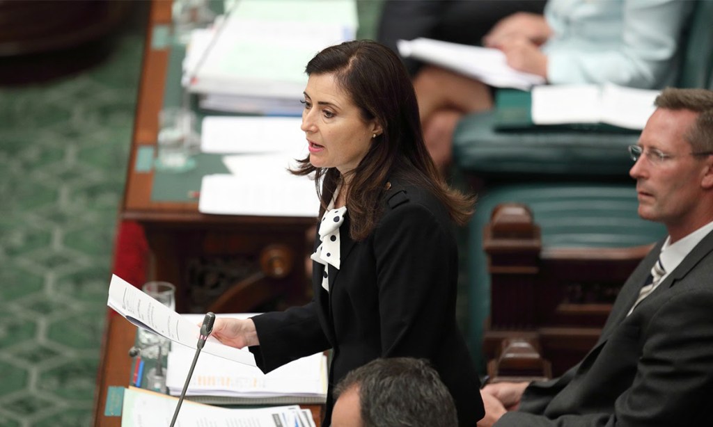 Child Protection Minister Rachel Sanderson. Photo: Tony Lewis / InDaily 