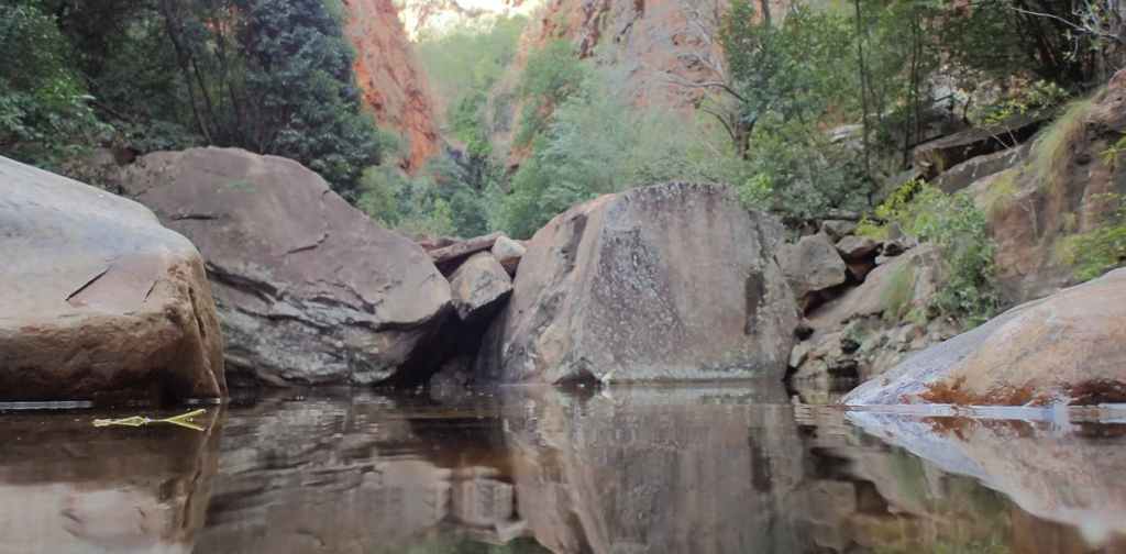 When freshwater dried up, so did many megafauna species. Photo: Centre of Excellence for Australian Biodiversity and Heritage.