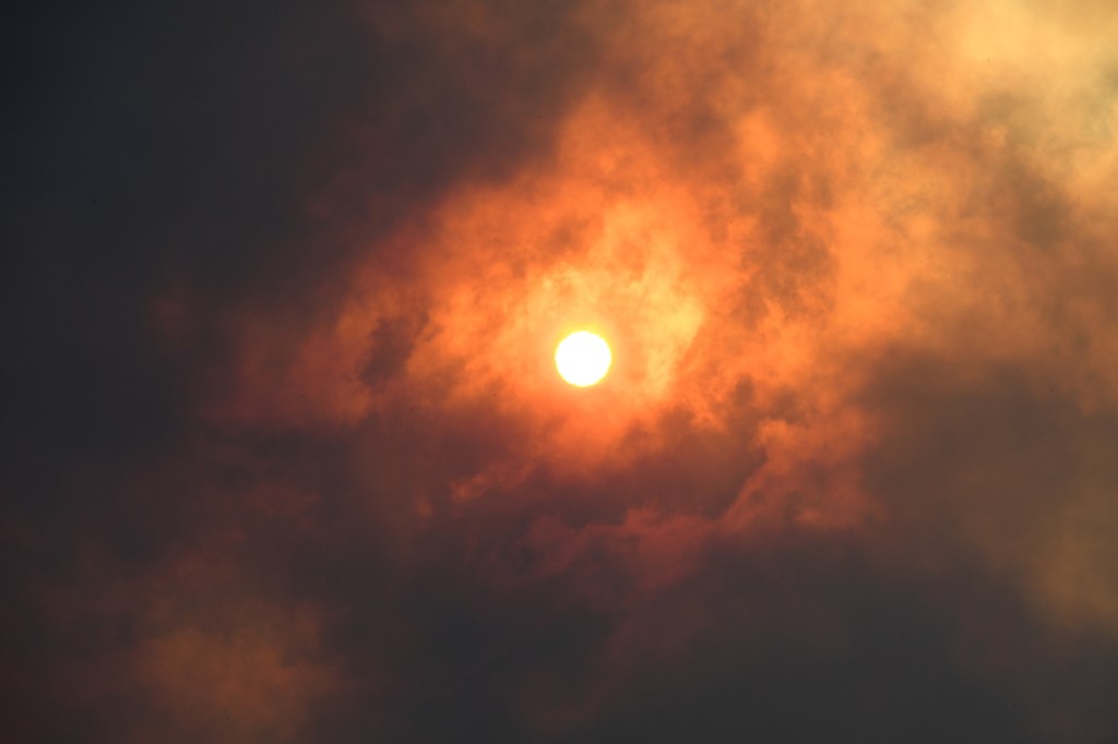 Thumbnail for 2019 world’s hottest year on record