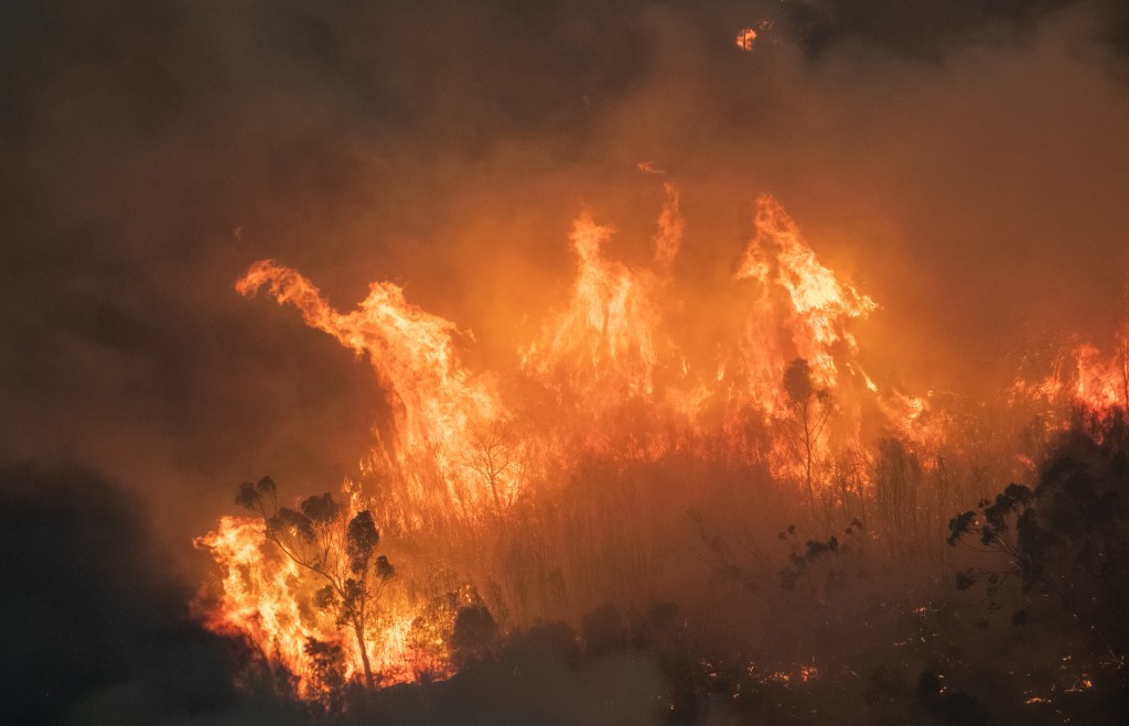 Thumbnail for Bushfires, bots and arson claims: Disinformation over Australia’s emergency