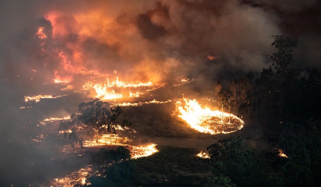 Thumbnail for Alarm bells ringing over future bushfires risk