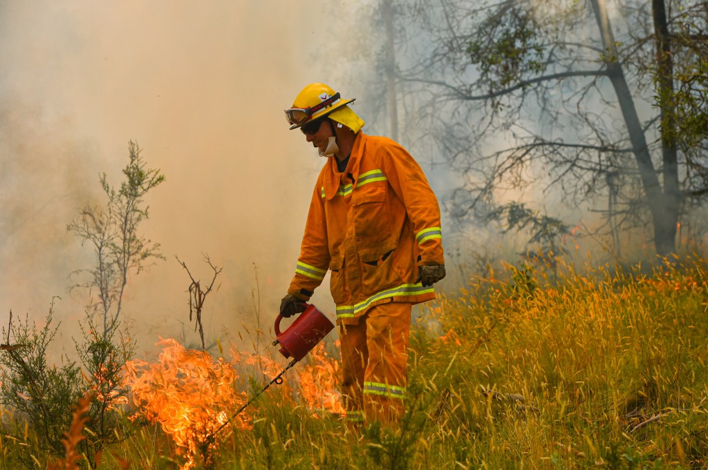 Thumbnail for Burnoffs more important than cutting emissions: Morrison