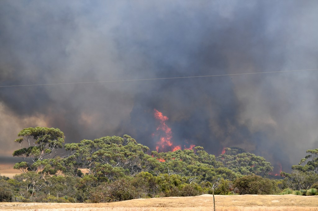 Thumbnail for Kangaroo Island still burning but emergency eases