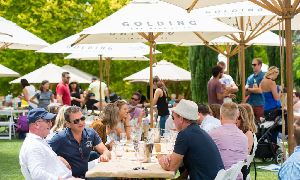 Thumbnail for Fire-affected wine region urges support for 2020 Crush Festival