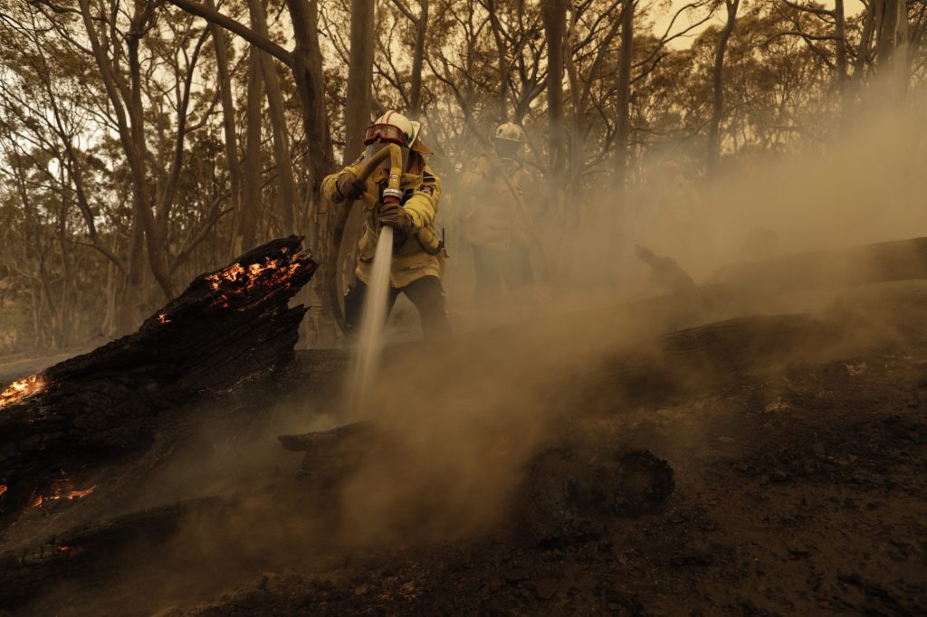 Thumbnail for Argo profits but sounds bushfires, virus warning