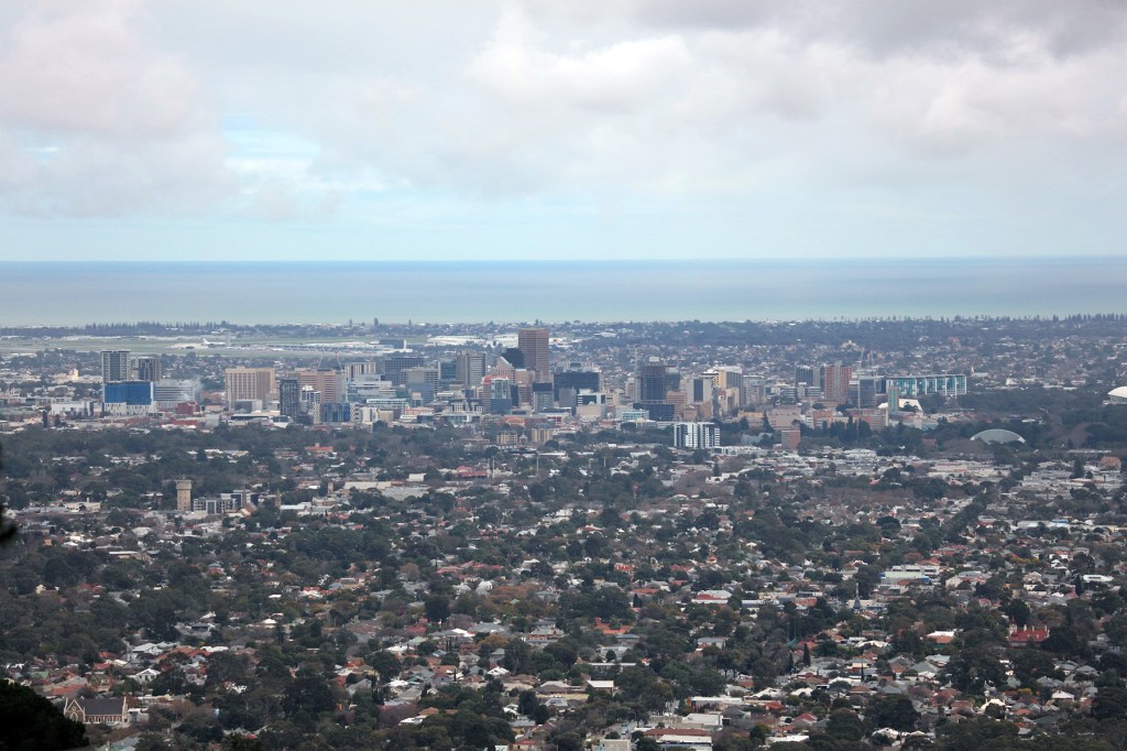 Thumbnail for Richardson: The fraught politics of SA’s death spiral