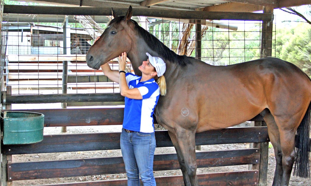 Thumbnail for Numbers up as trainers flock to KI races