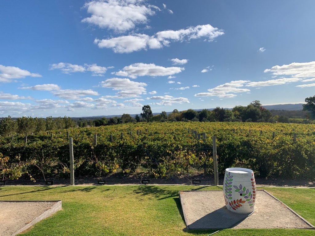 Thumbnail for Fire-ravaged Hills wineries hit again by cellar door closures